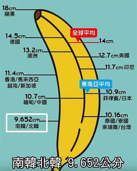 陰莖種類|人類陰莖尺寸